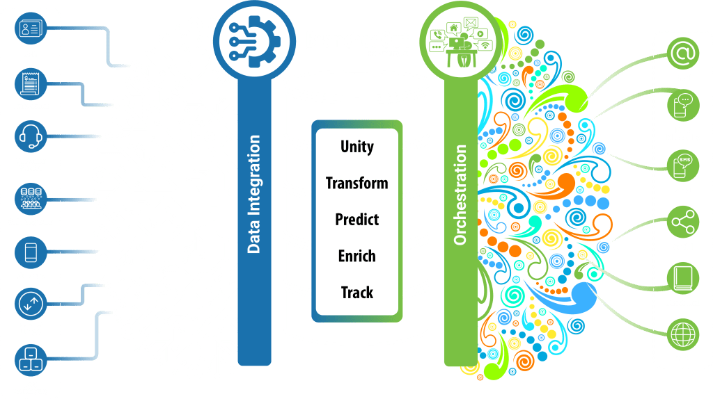 BranchedOut Brain